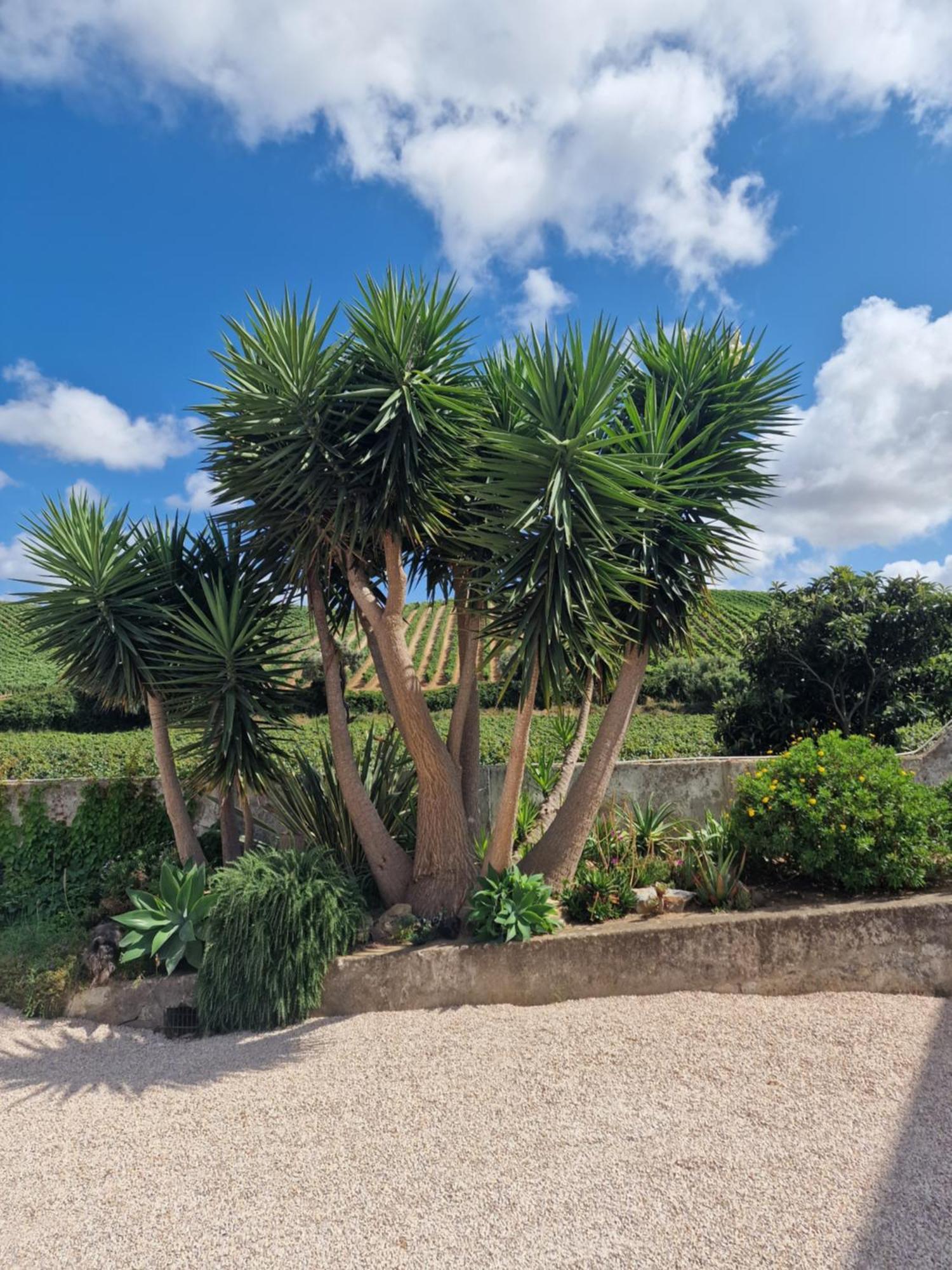 Casa Nikana Villa Turcifal Eksteriør bilde